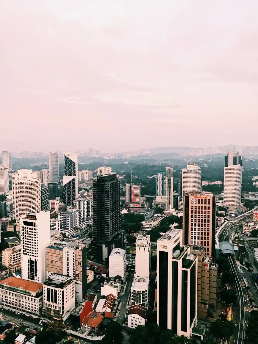 Zonepath — consulting